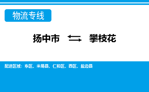 扬中到攀枝花物流公司-专业团队/提供包车运输服务